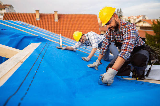 Best Storm Damage Roof Repair  in Mason Neck, VA
