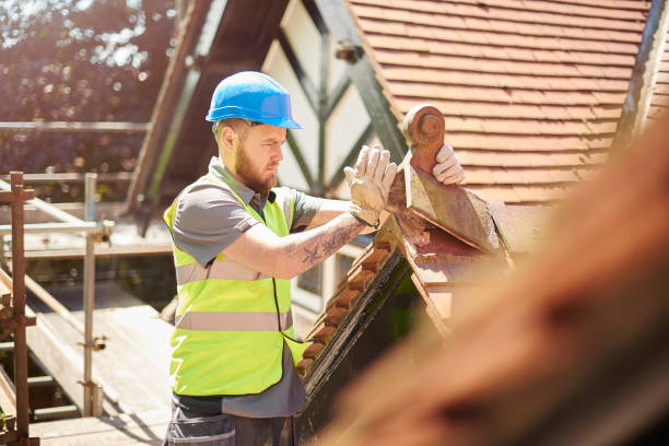 Best Roof Maintenance Services  in Mason Neck, VA