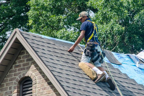 Best Roof Gutter Cleaning  in Mason Neck, VA